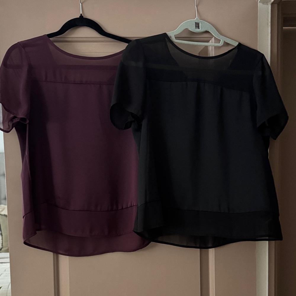 Elegant Women's Sheer Tops - Black and Purple